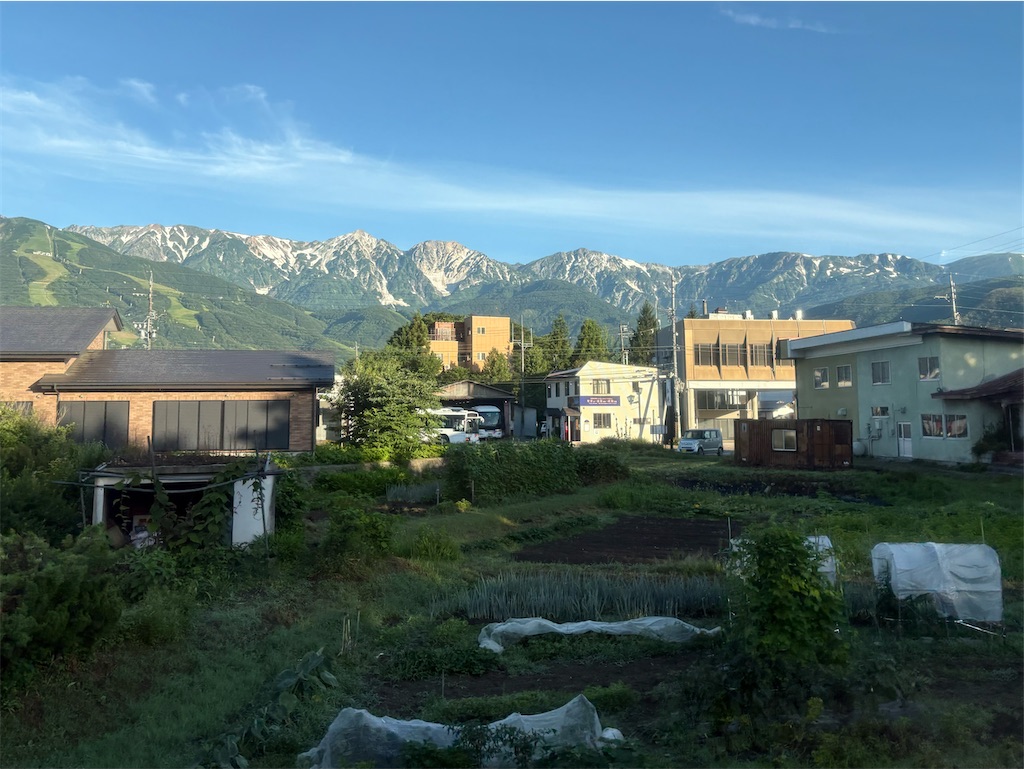 f:id:hiroto0124:20250720154944j:image