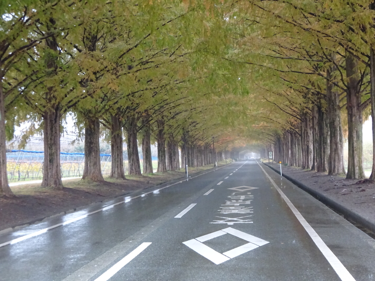 f:id:hiroto766:20220209224827j:plain