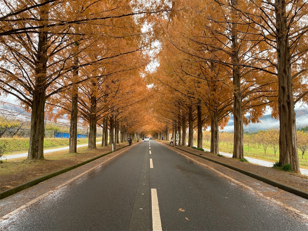 f:id:hiroto766:20220209225711j:image