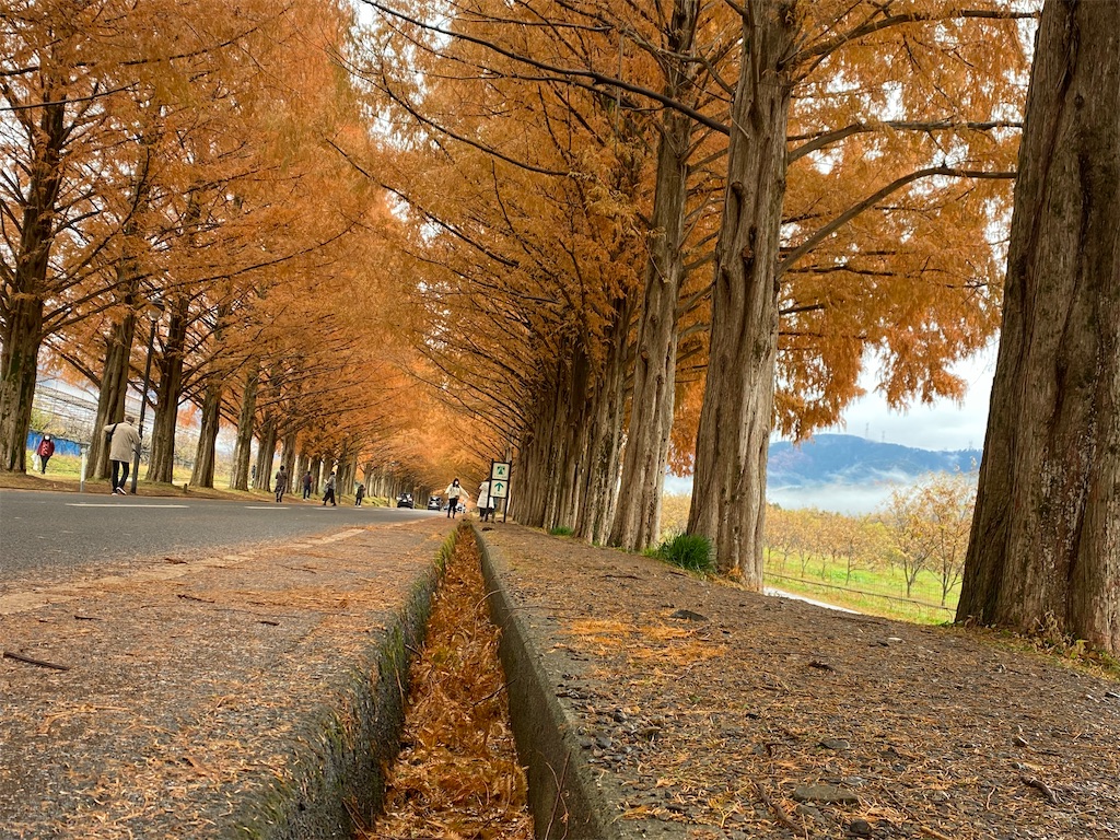 f:id:hiroto766:20220210002637j:image