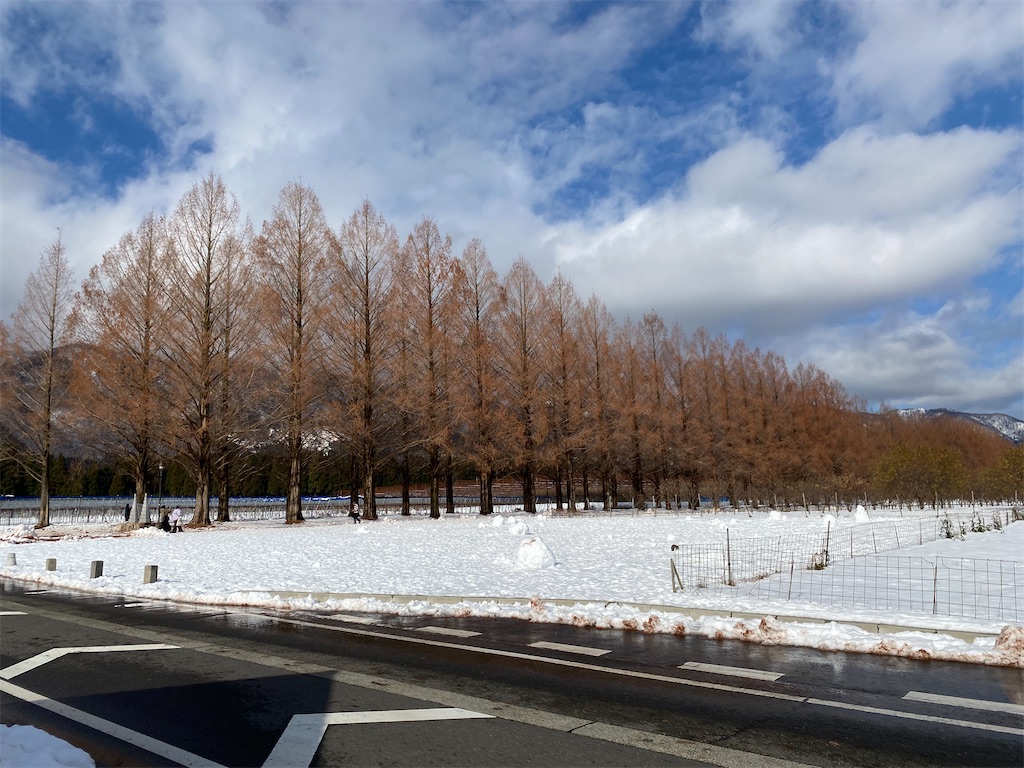 f:id:hiroto766:20220210002720j:image