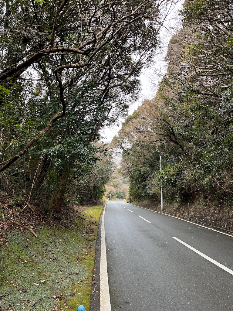 f:id:hiroto_Vlog:20220203174030j:image