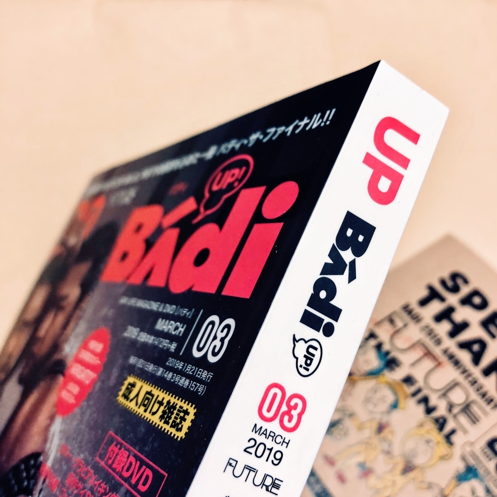 f:id:hirotophy:20190120170203j:plain