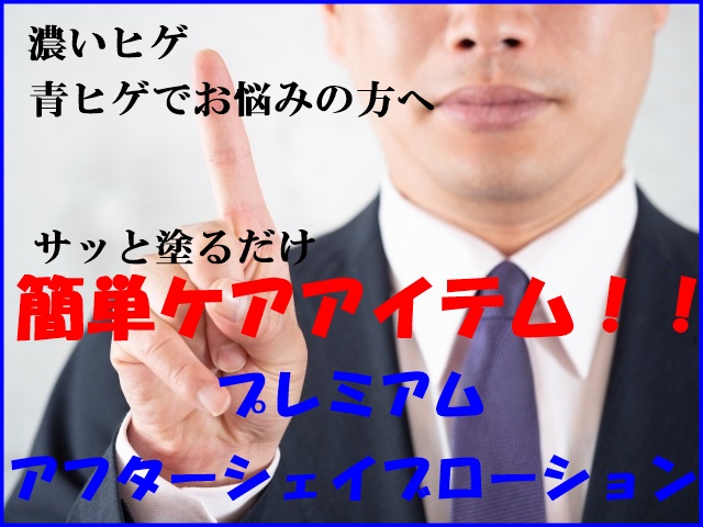 f:id:hirotoratt:20181112171953j:plain