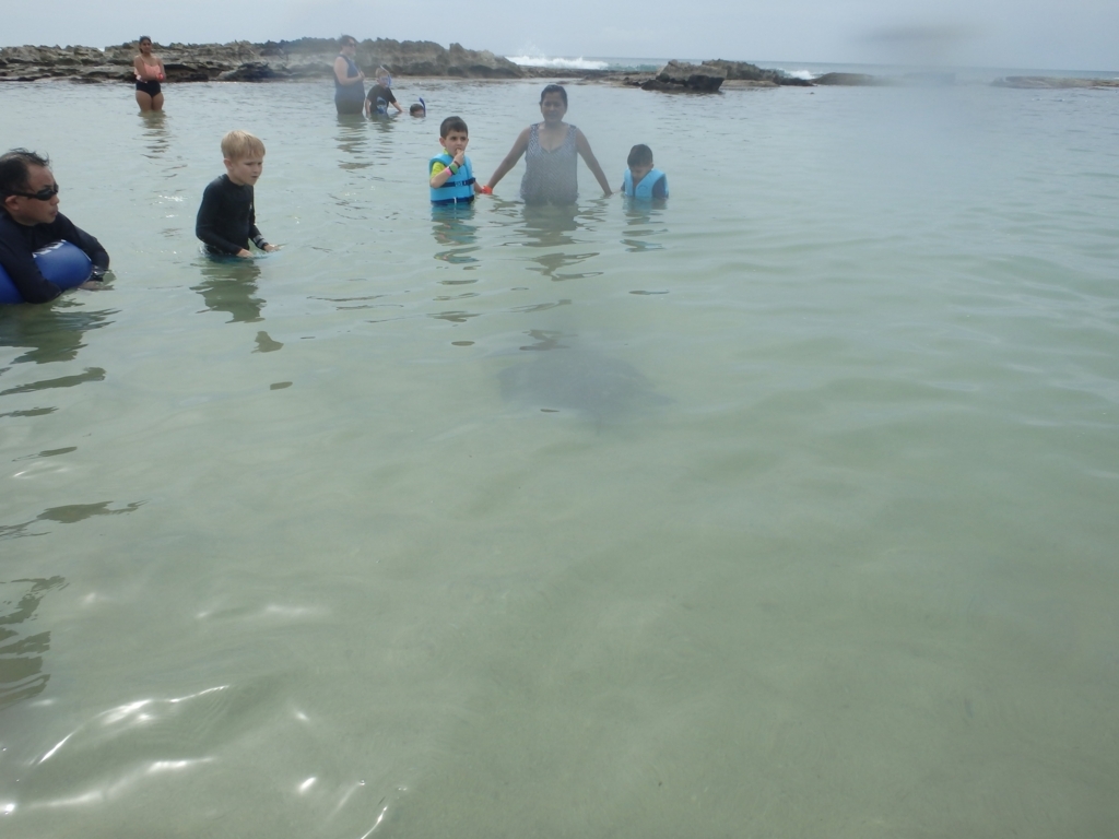 f:id:hirotototo:20180430155910j:plain