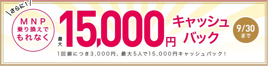 f:id:hirotsu73:20200916172737j:plain