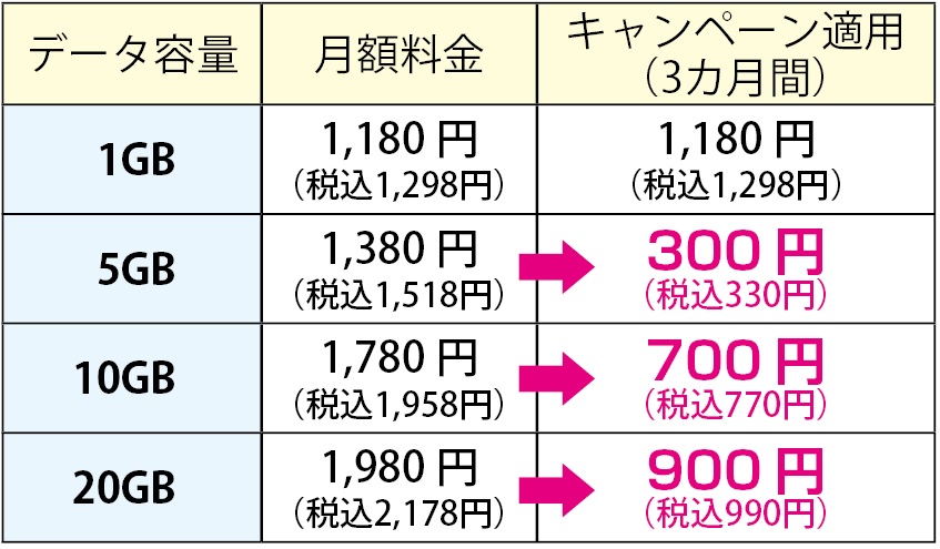 f:id:hirotsu73:20210301133254j:plain