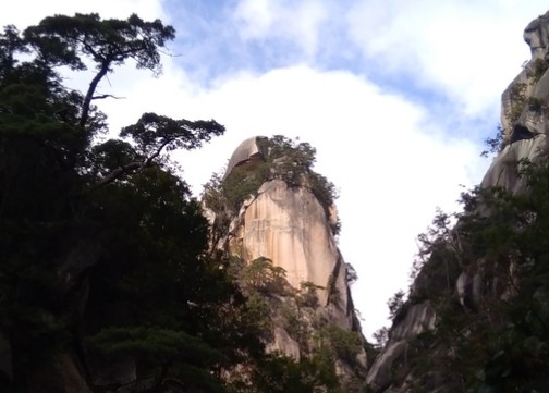 f:id:hiroukamix:20191031104830j:plain