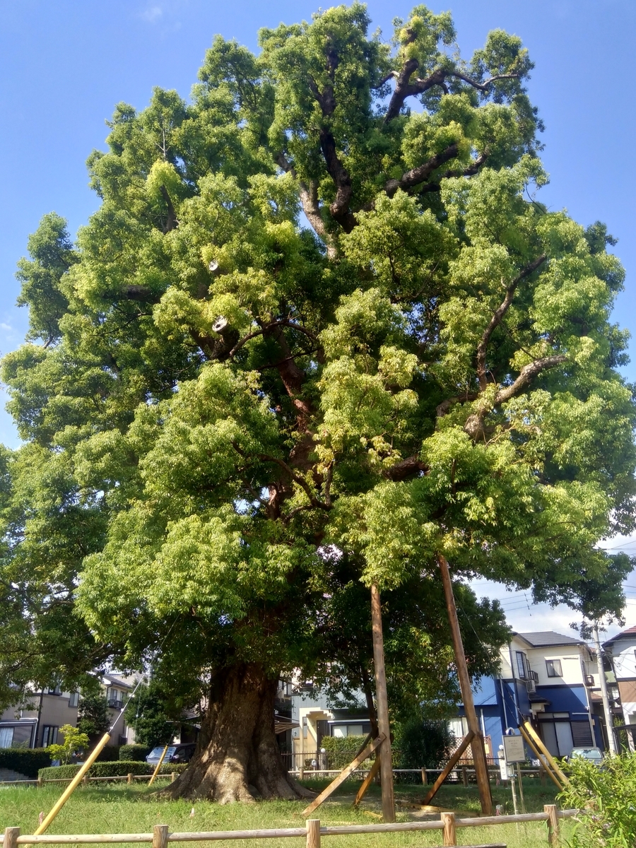 f:id:hiroukamix:20191123055543j:plain