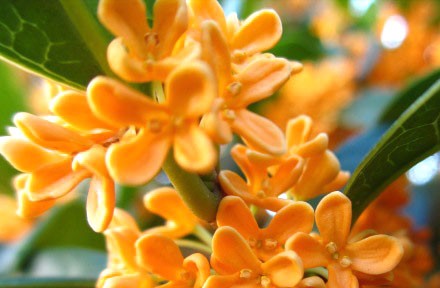 f:id:hiroukamix:20191207053024j:plain