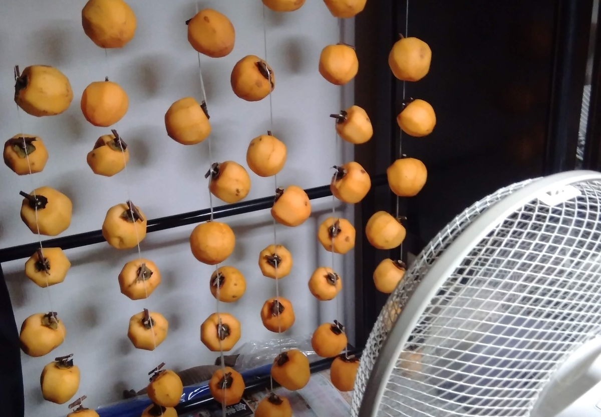 f:id:hiroukamix:20191208052117j:plain