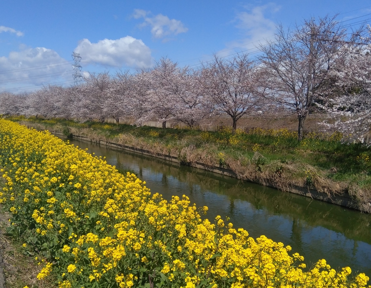 f:id:hiroukamix:20200328060747j:plain