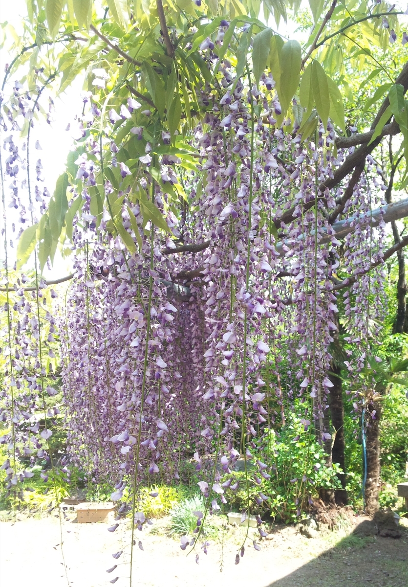 f:id:hiroukamix:20200423054121j:plain