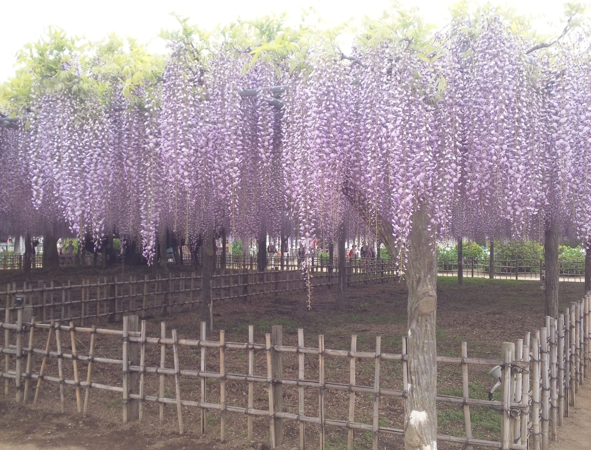 f:id:hiroukamix:20200423054942j:plain