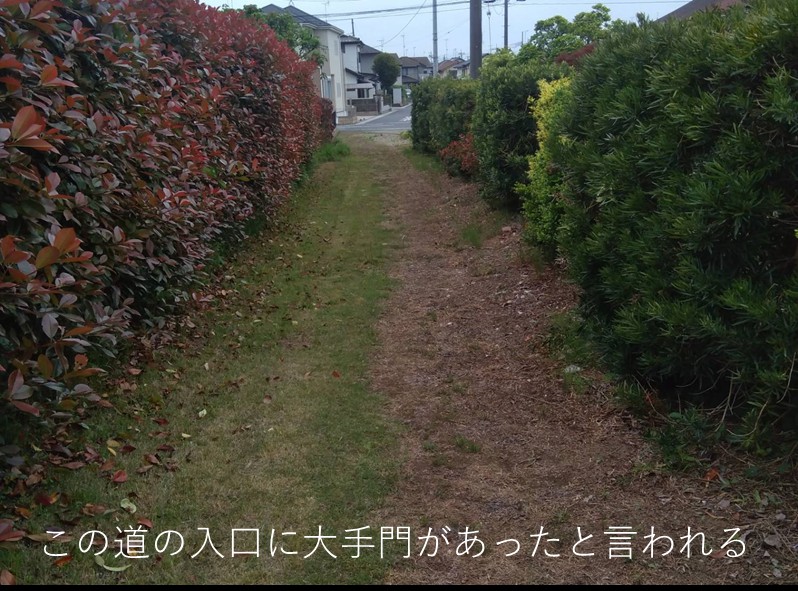 f:id:hiroukamix:20200524055746j:plain