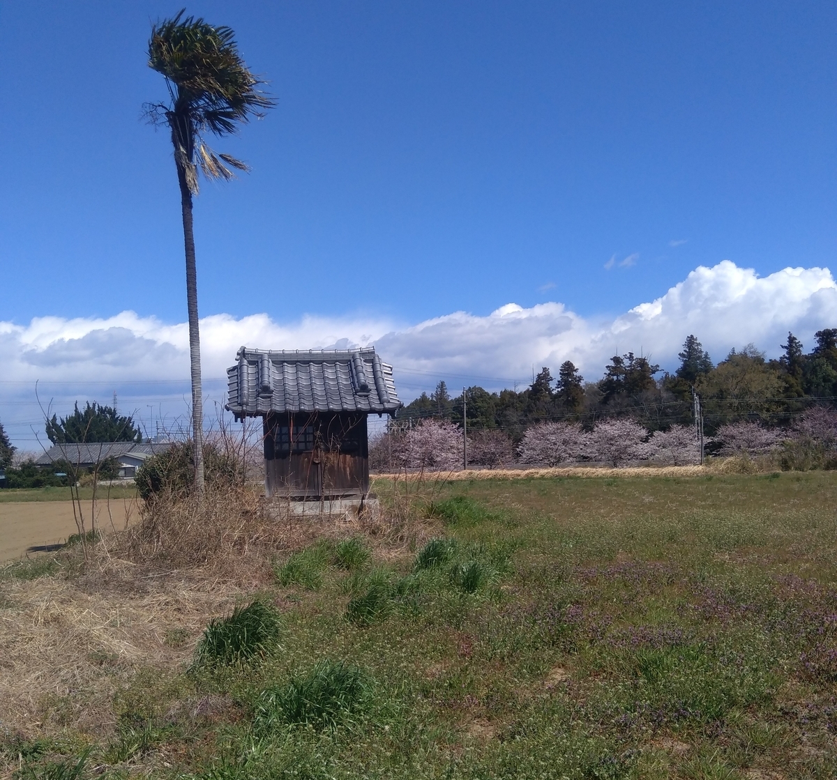 f:id:hiroukamix:20200524060124j:plain