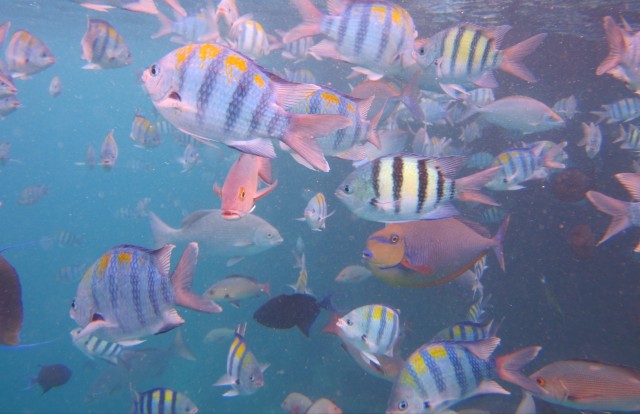 f:id:hiroukamix:20200803051207j:plain