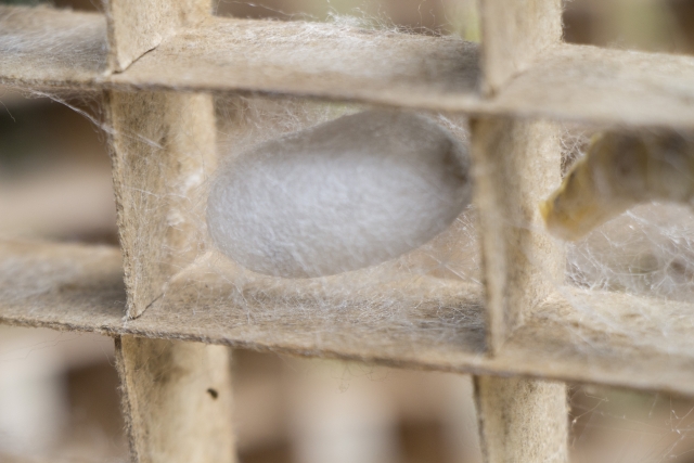 f:id:hiroukamix:20200924055434j:plain