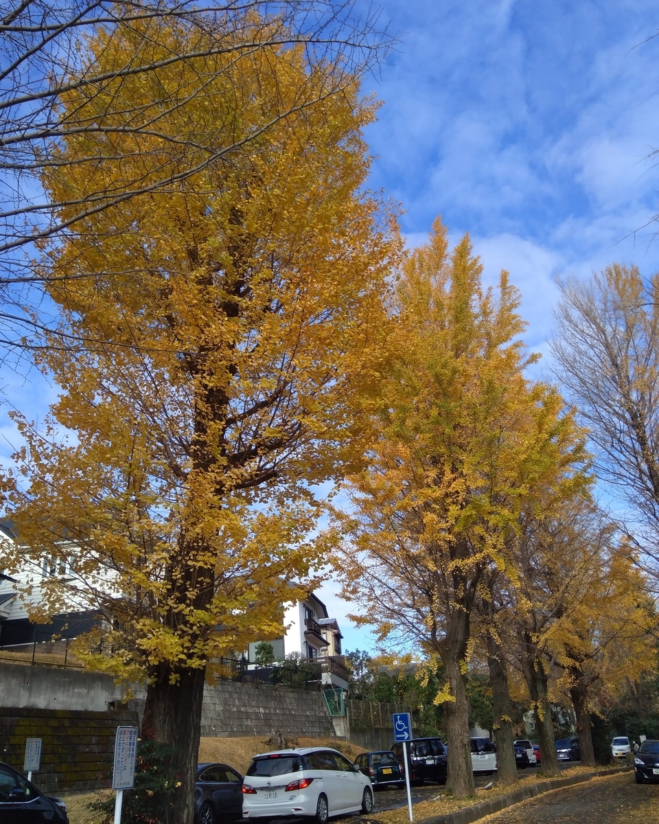 f:id:hiroukamix:20201207063927j:plain