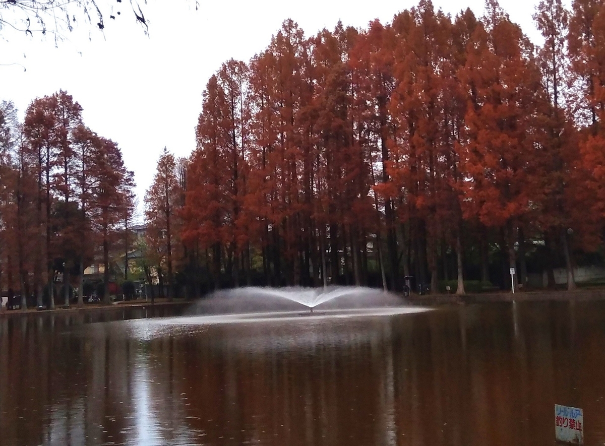 f:id:hiroukamix:20201207064049j:plain