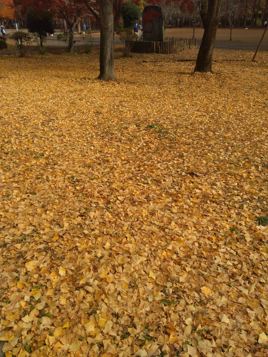 f:id:hiroukamix:20201207065559j:plain
