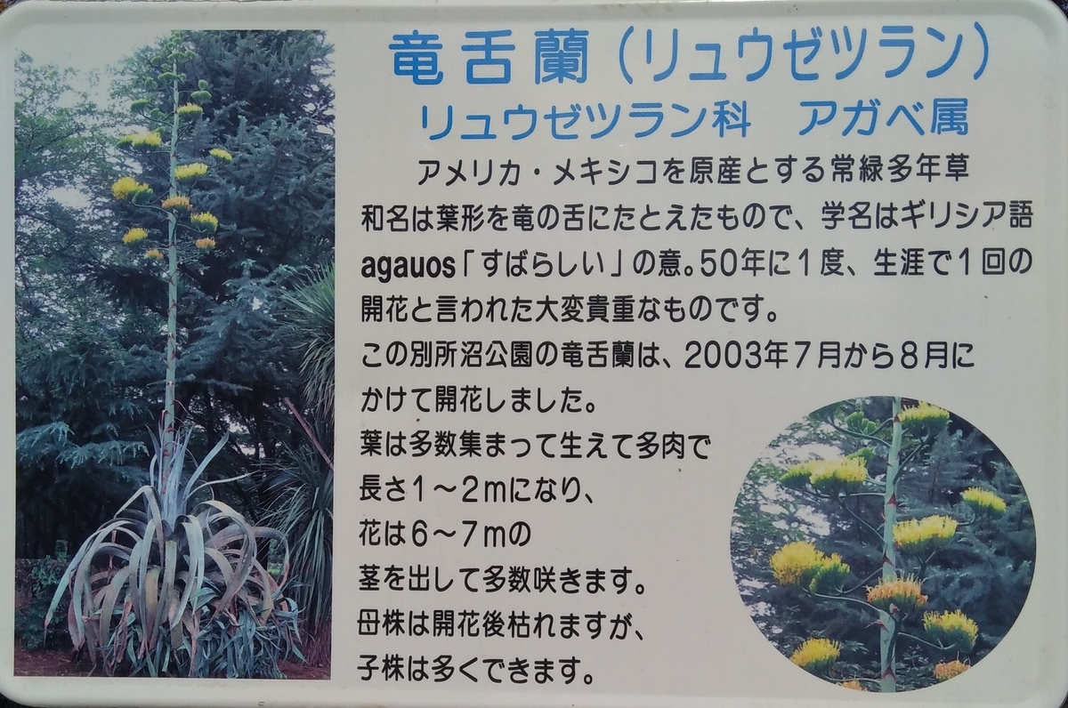f:id:hiroukamix:20201207070600j:plain
