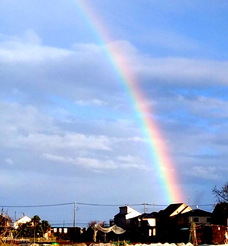 f:id:hiroukamix:20210215190207j:plain