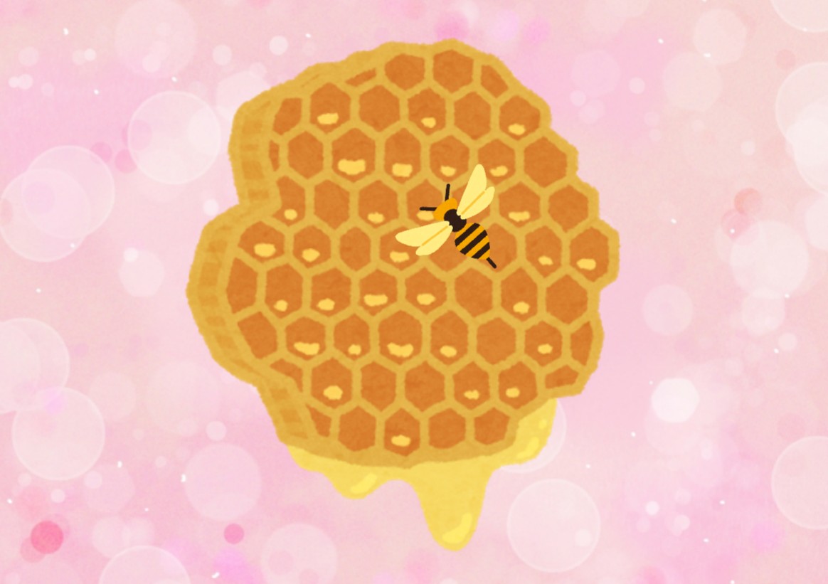 f:id:hiroukamix:20210310220947j:plain