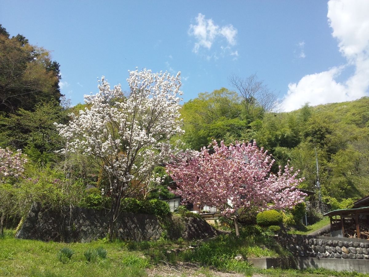 f:id:hiroukamix:20210323101607j:plain