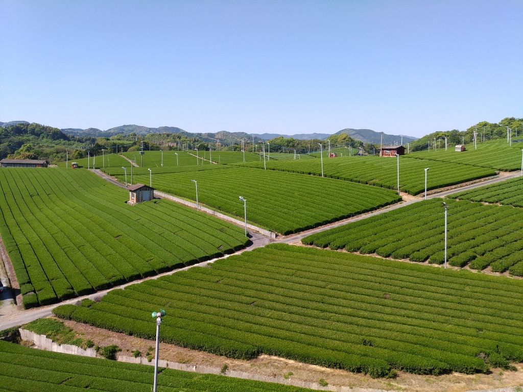 f:id:hiroukamix:20210914180907j:plain