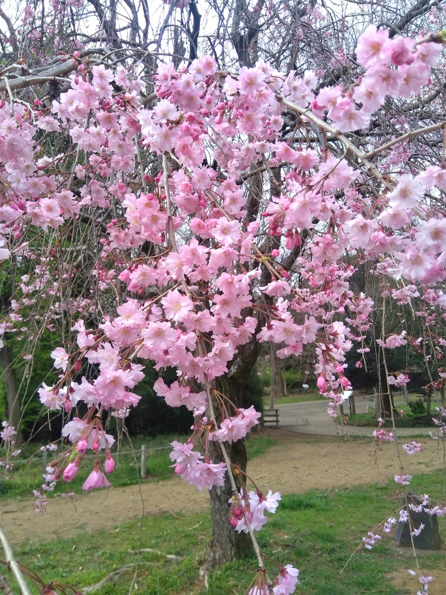 f:id:hiroukamix:20220403212401j:plain
