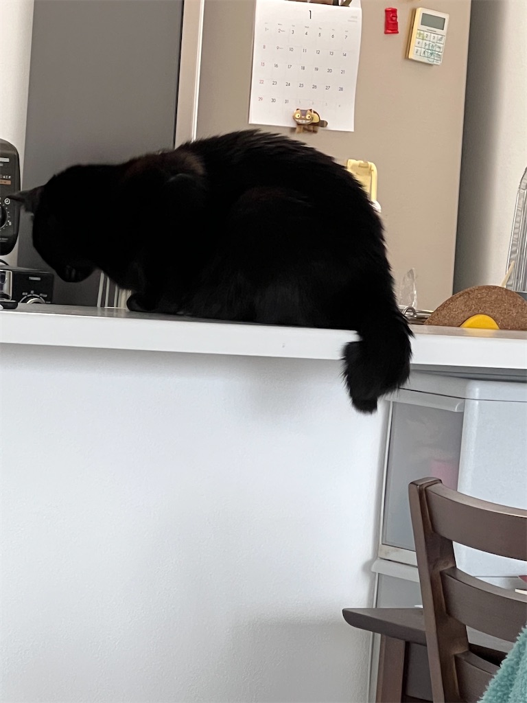 f:id:hirousachang:20230123093746j:image