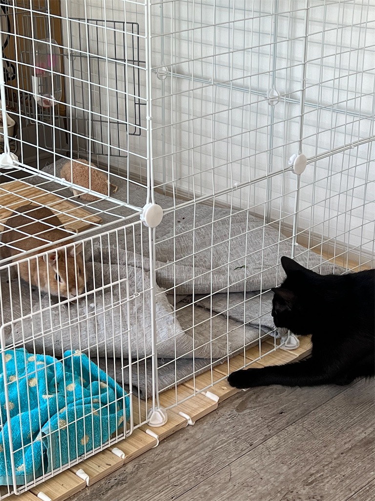 f:id:hirousachang:20230124075603j:image