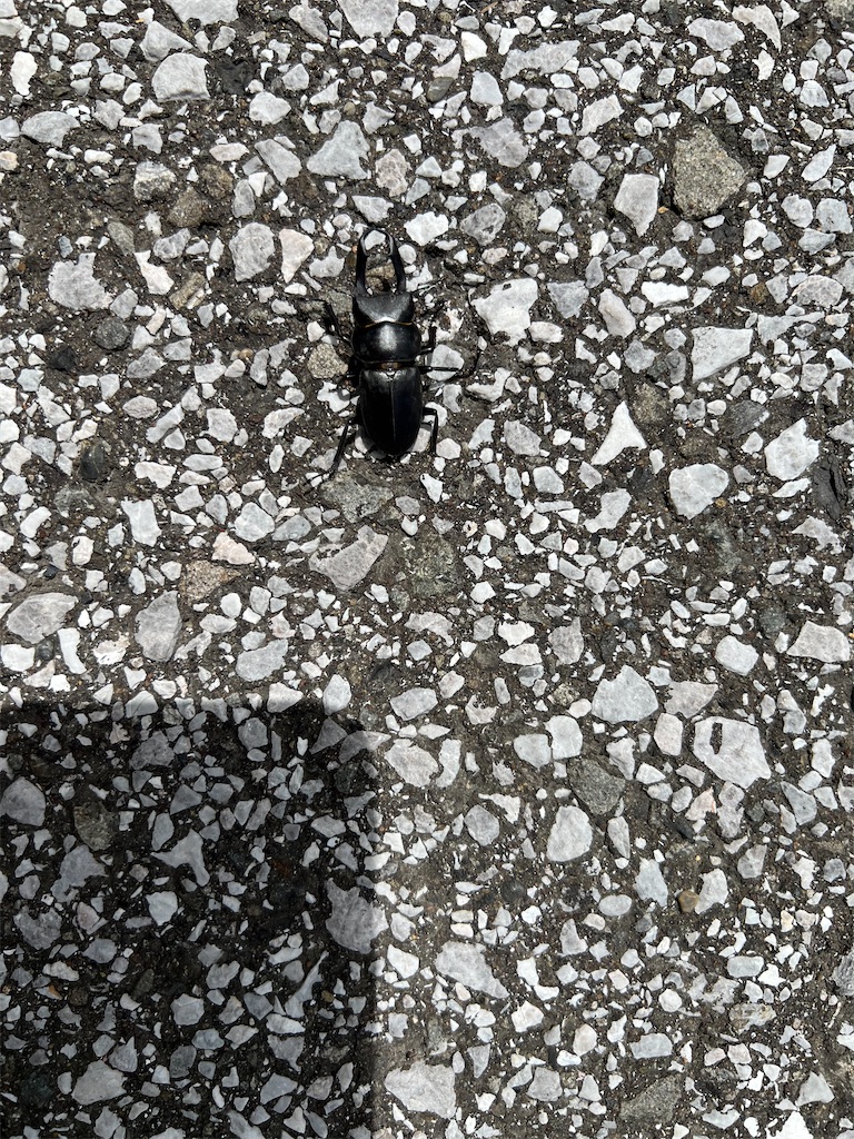 f:id:hirousachang:20230604160429j:image