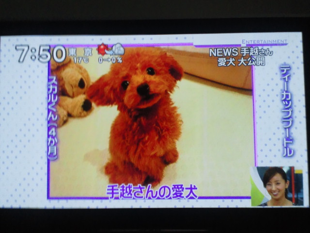 ズームイン Super Hiro S Diary
