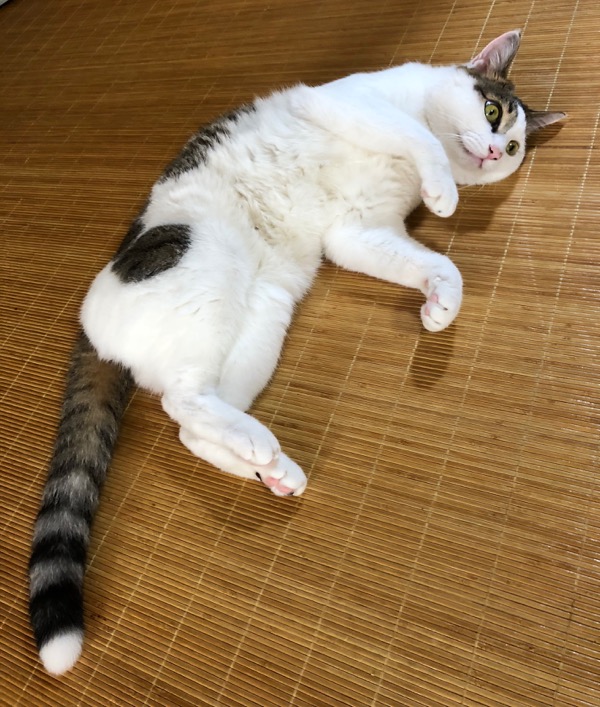 f:id:hirowind:20180708140012j:plain