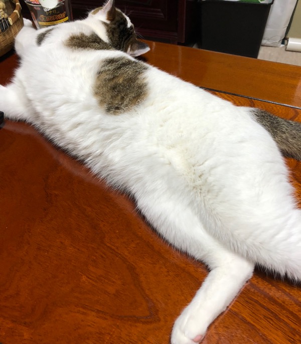 f:id:hirowind:20180708222117j:plain