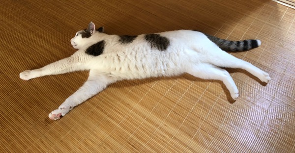 f:id:hirowind:20180730031013j:plain