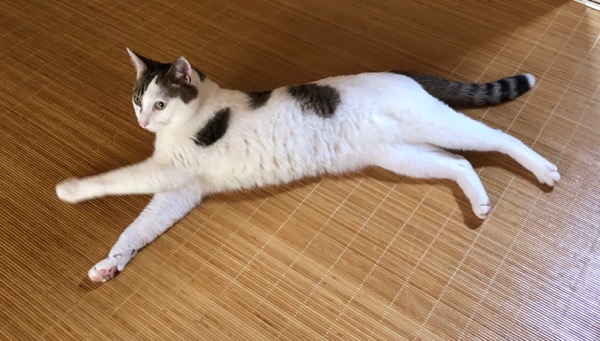 f:id:hirowind:20180730031031j:plain