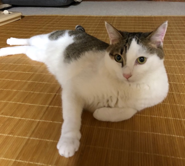 f:id:hirowind:20180801202535j:plain