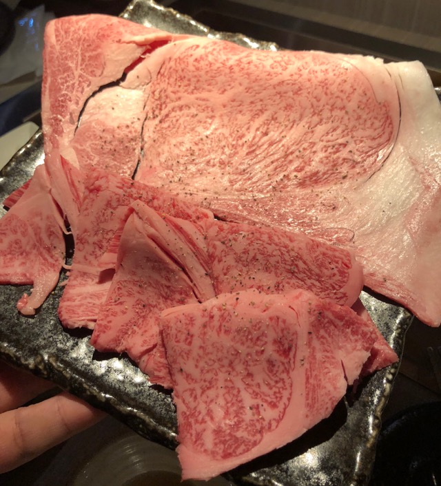 f:id:hirowind:20181227223522j:plain