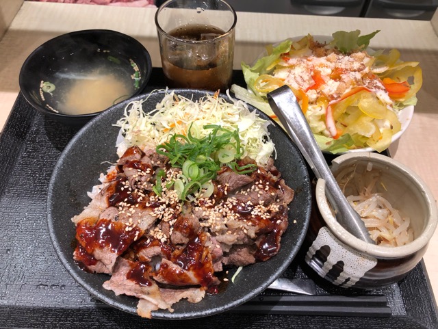 f:id:hirowind:20190209232256j:plain