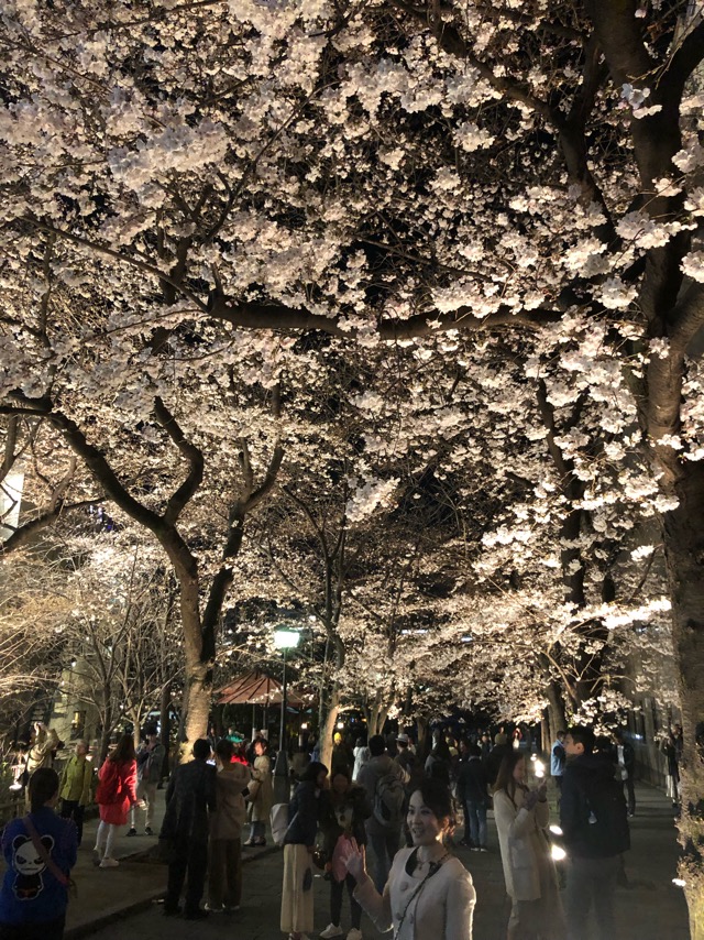 f:id:hirowind:20190331165434j:plain f:id:hirowind:20190331165434j:plain