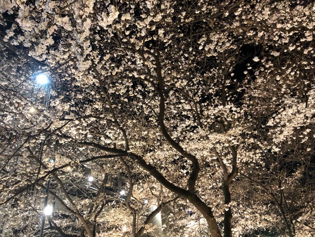 f:id:hirowind:20190331165445j:plain f:id:hirowind:20190331165445j:plain