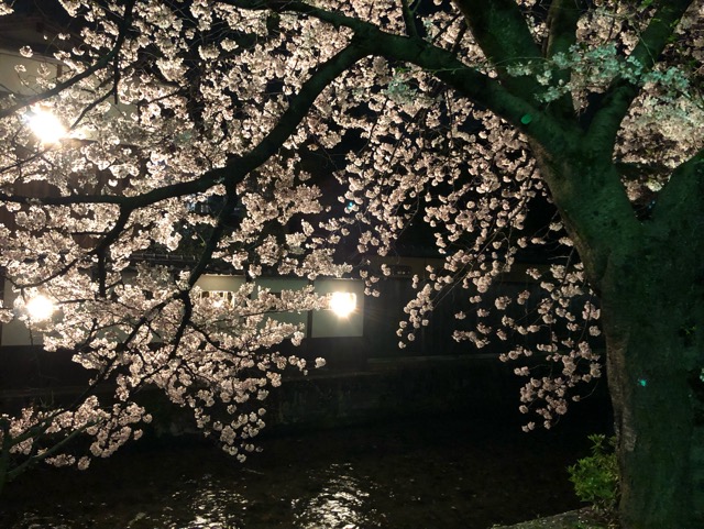 f:id:hirowind:20190409194042j:plain