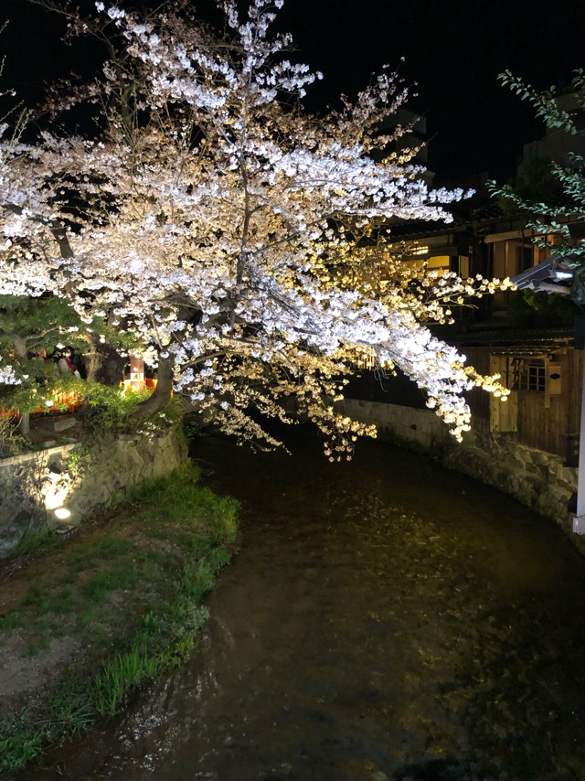 f:id:hirowind:20190409194121j:plain