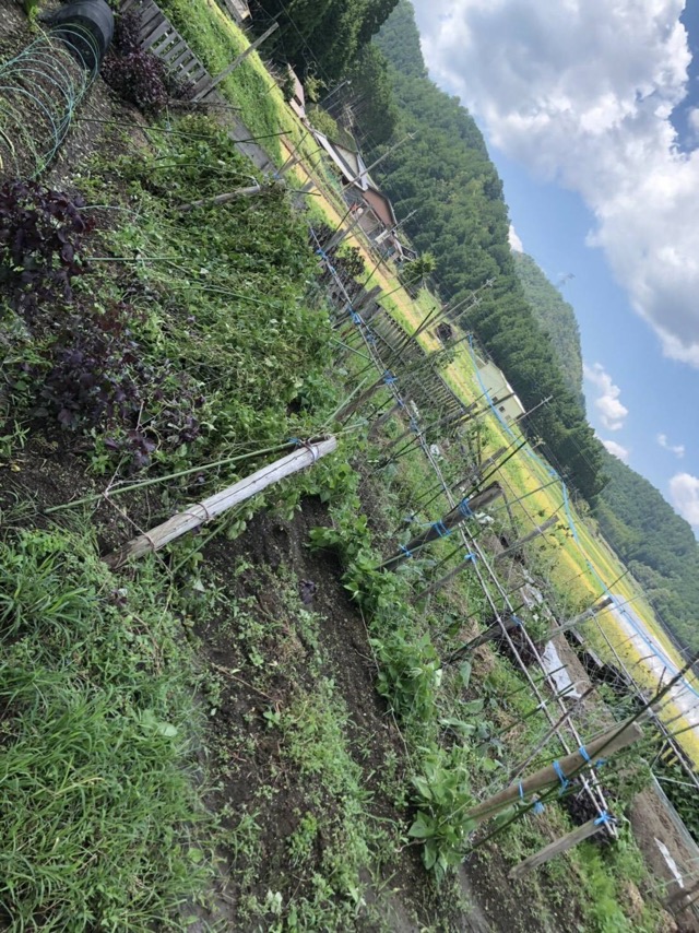 f:id:hirowind:20190409231843j:plain