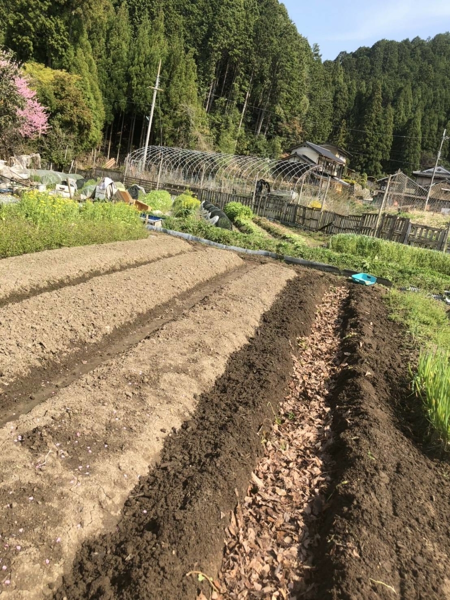 f:id:hirowind:20190409231913j:plain