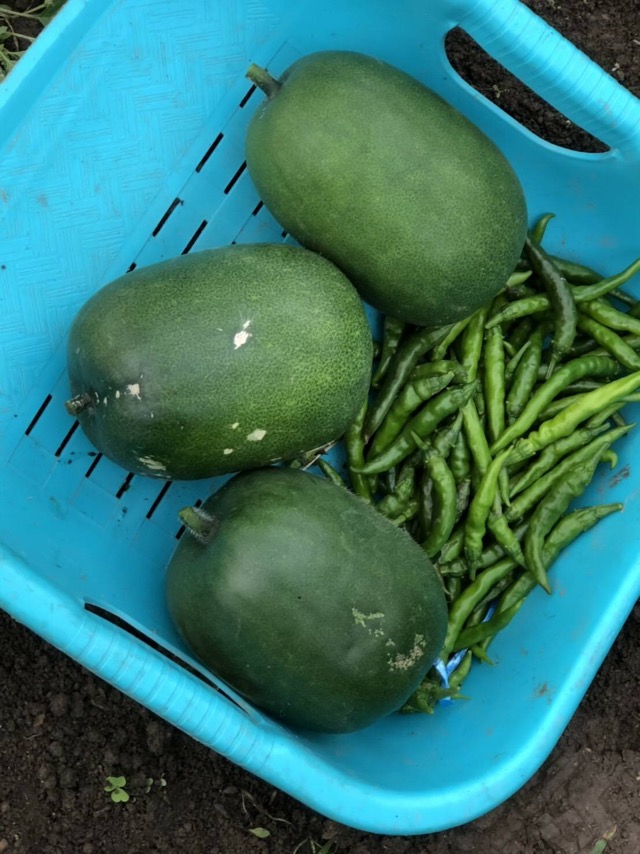 f:id:hirowind:20190409231938j:plain