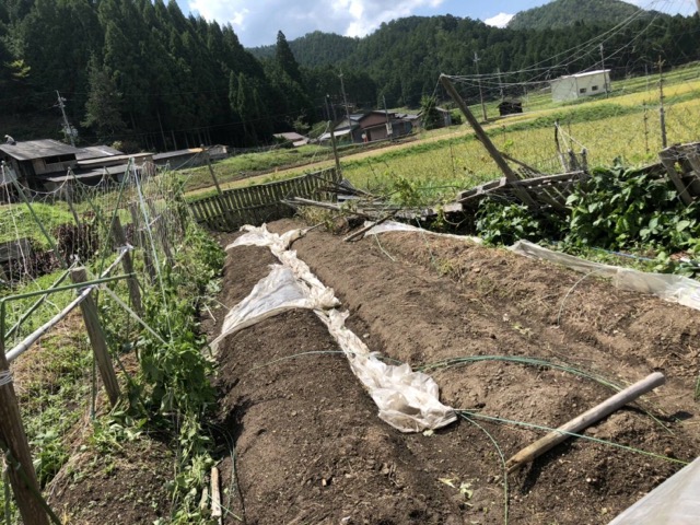 f:id:hirowind:20190409231953j:plain